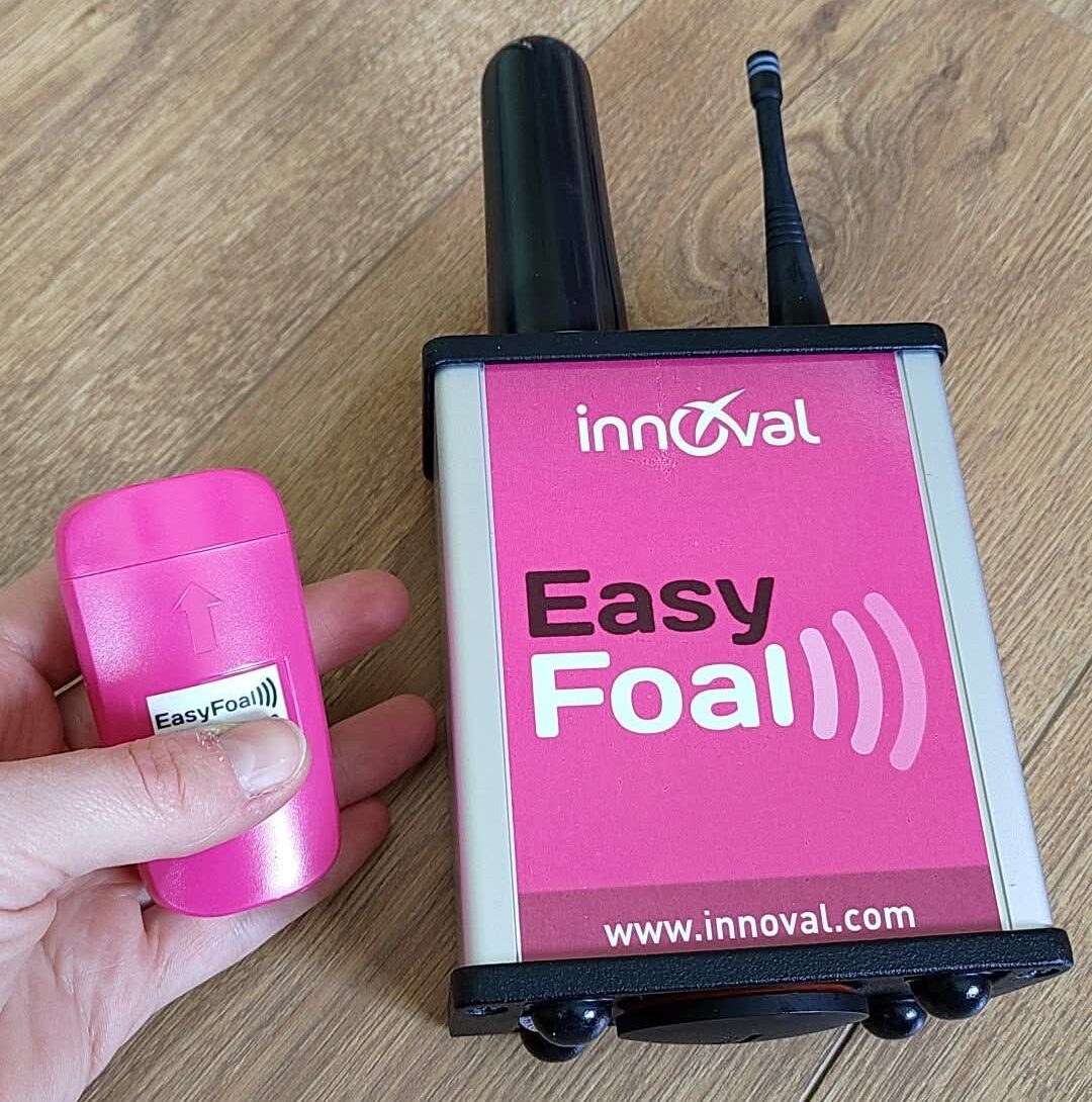 EasyFoal