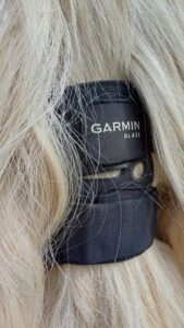 Garmin Blaze