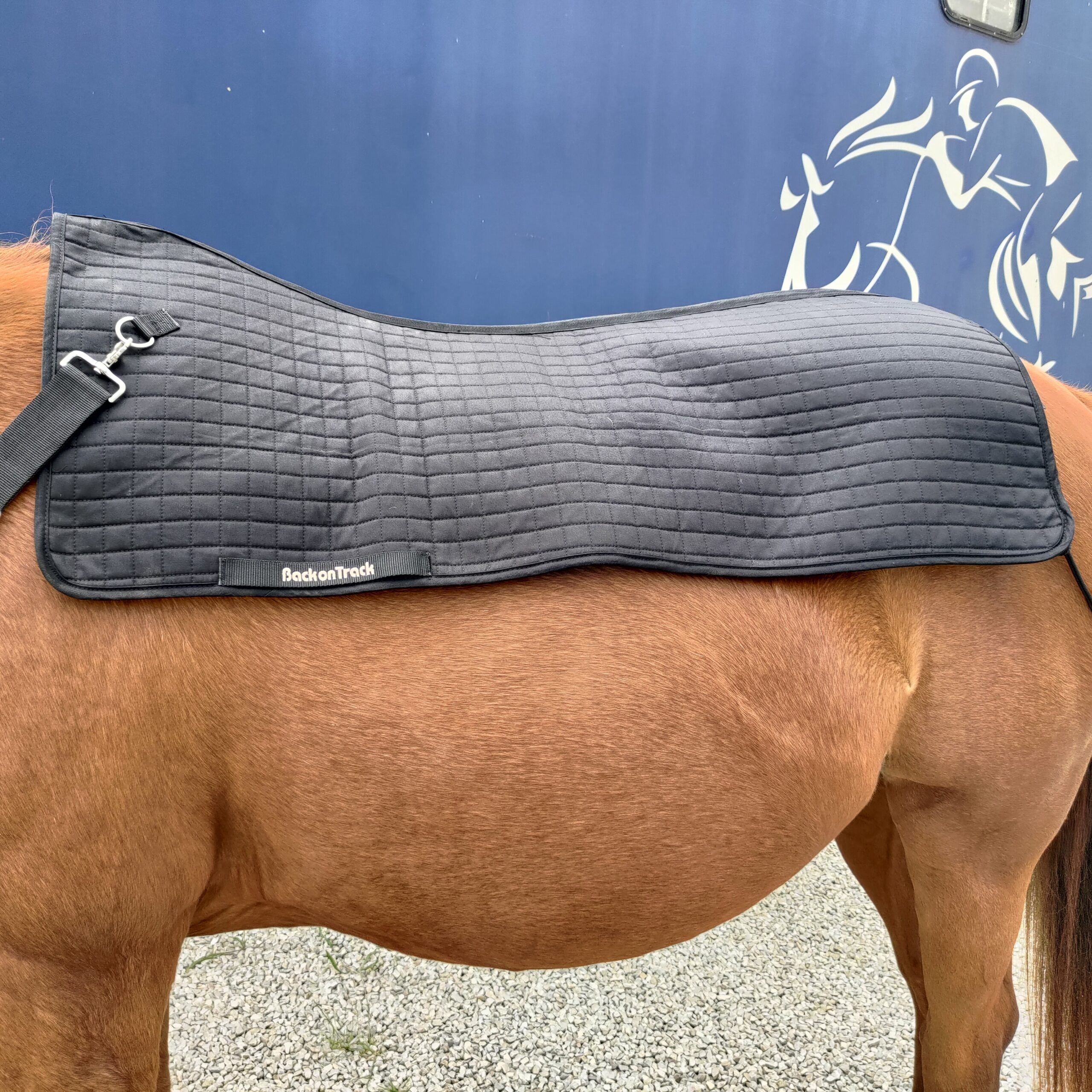 Chauffe dos Back Warmer Royal