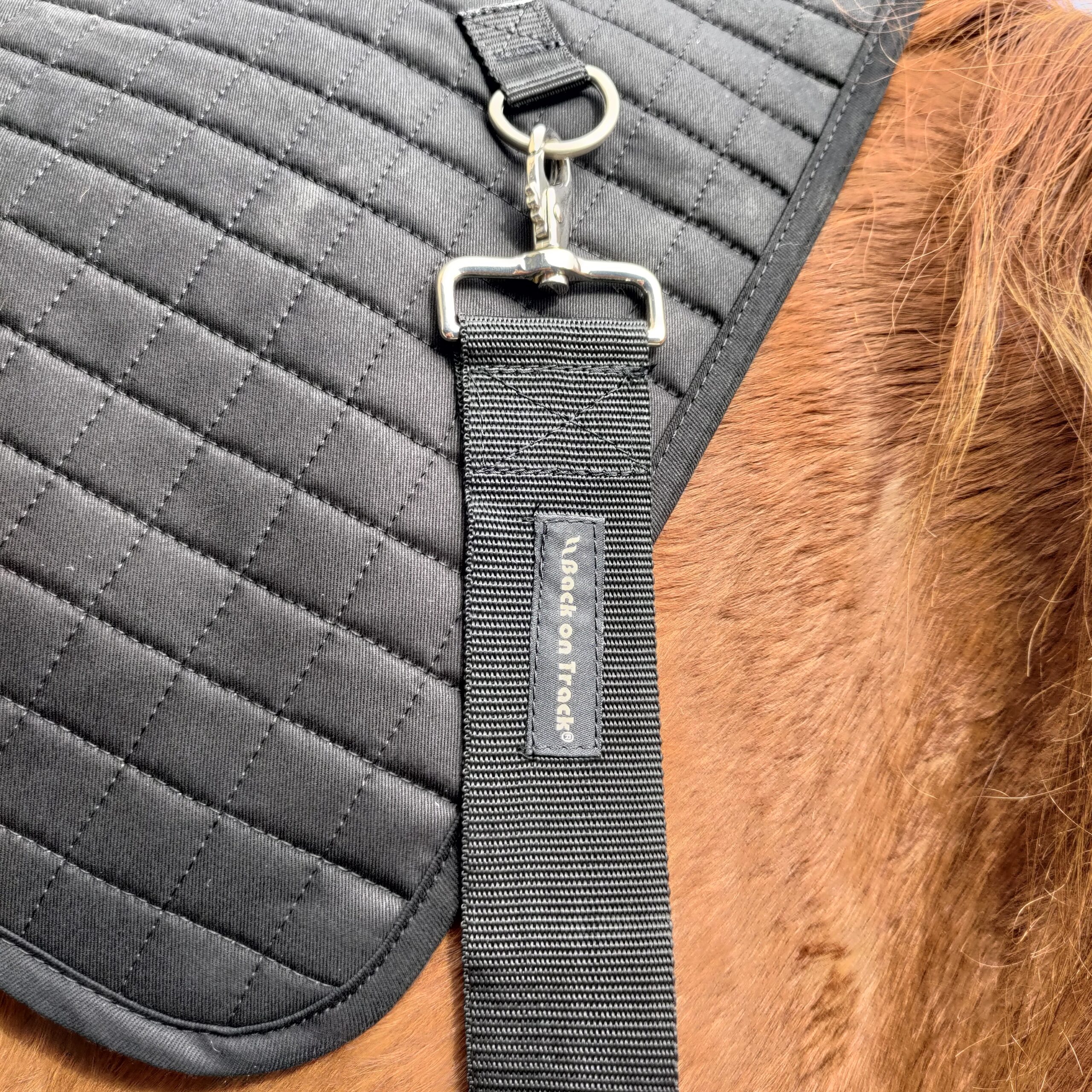 Chauffe dos Back Warmer Royal