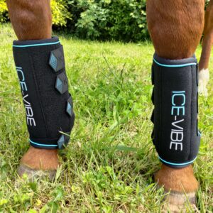 Ice-Vibe