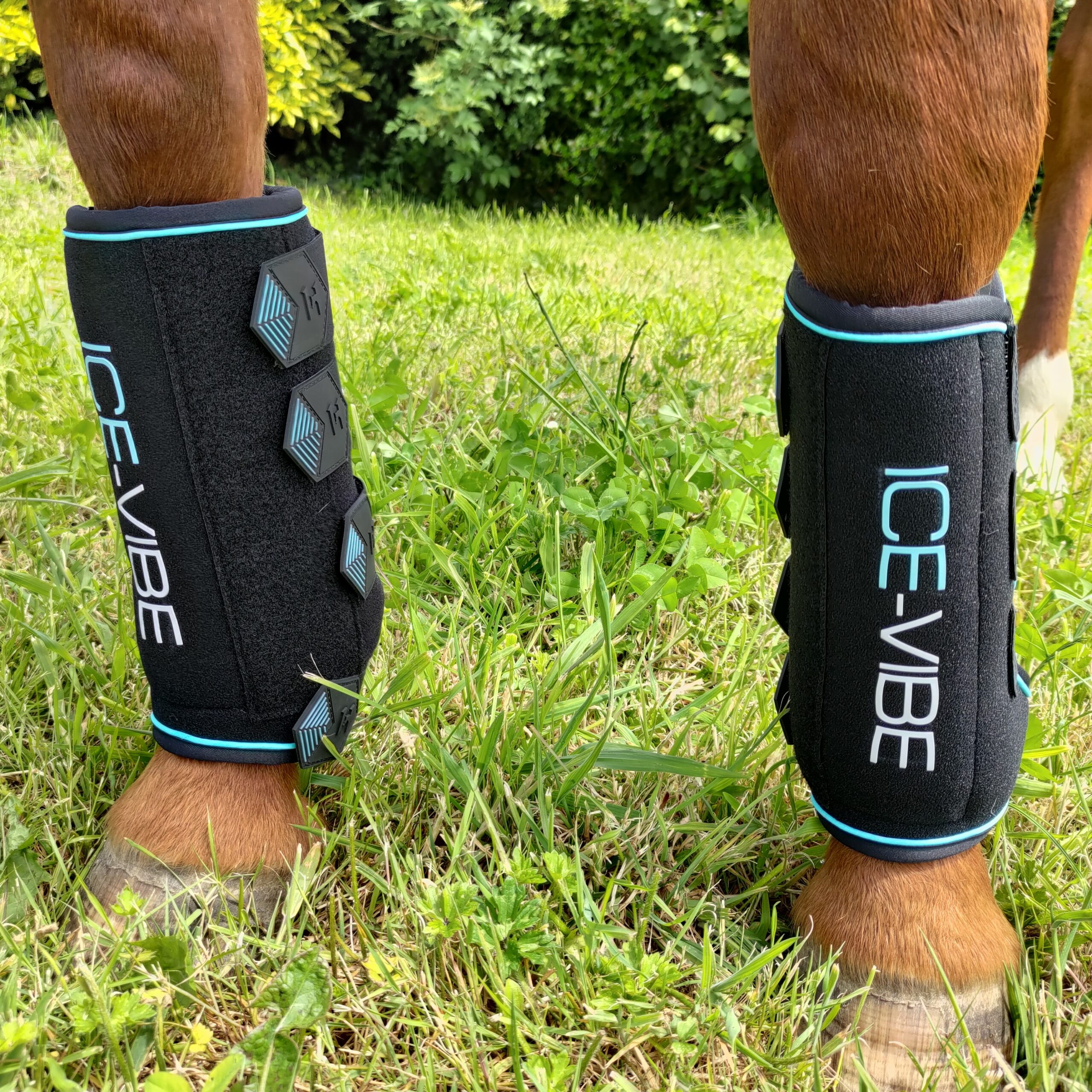 Ice-Vibe