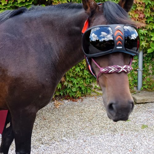 Masque eVysor eQuick