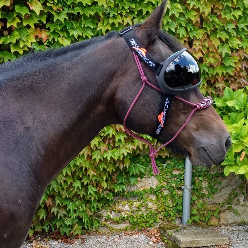 Masque eVysor eQuick