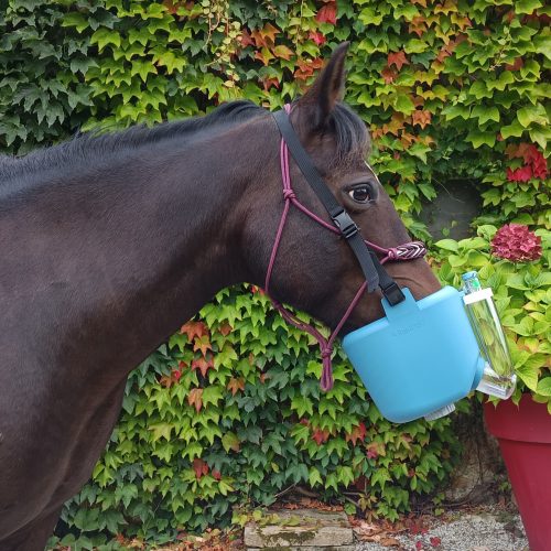 Nébuliseur Flexineb E3