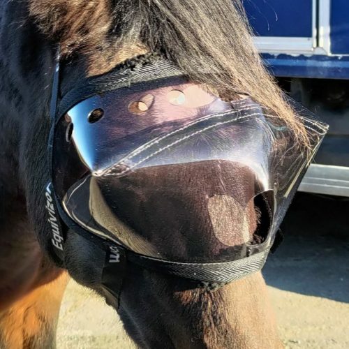 Masque convalescence Equivizor