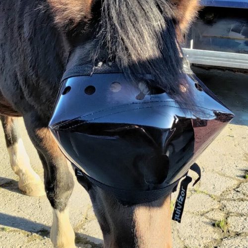 Masque convalescence Equivizor