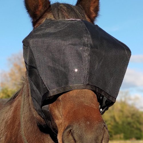 Masque convalescence Equivizor