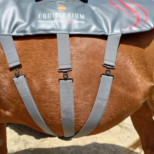 Tapis massage chauffant Equilibrium