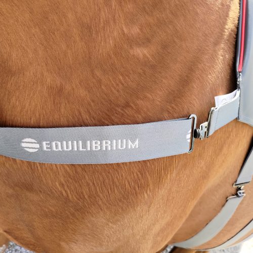 Tapis massage chauffant Equilibrium
