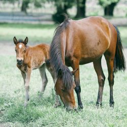 pexels-orlovamaria-4915620 (1)
